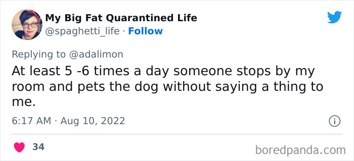 People Are Sharing Embarrassing Moments When They Thought Someone Was Speaking To Them Instead Of Their Pet, And Here Are 29 Of The Funniest Ones People Are Sharing Embarrassing Moments When They Thought Someone Was Speaking To Them Instead Of Their Pet, And Here Are 29 Of The Funniest Ones