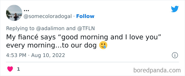 People Are Sharing Embarrassing Moments When They Thought Someone Was Speaking To Them Instead Of Their Pet, And Here Are 29 Of The Funniest Ones People Are Sharing Embarrassing Moments When They Thought Someone Was Speaking To Them Instead Of Their Pet, And Here Are 29 Of The Funniest Ones