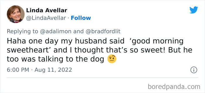 People Are Sharing Embarrassing Moments When They Thought Someone Was Speaking To Them Instead Of Their Pet, And Here Are 29 Of The Funniest Ones People Are Sharing Embarrassing Moments When They Thought Someone Was Speaking To Them Instead Of Their Pet, And Here Are 29 Of The Funniest Ones