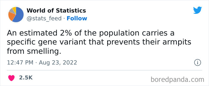 &#8220;85% Of Women Wear The Wrong Bra Size&#8221;: 50 Wild Statistics That Are As Random As They Are Interesting, As Shared On This Twitter Page