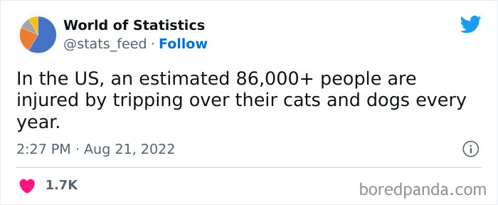 &#8220;85% Of Women Wear The Wrong Bra Size&#8221;: 50 Wild Statistics That Are As Random As They Are Interesting, As Shared On This Twitter Page