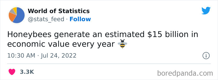 “85% Of Women Wear The Wrong Bra Size”: 50 Wild Statistics That Are As Random As They Are Interesting, As Shared On This Twitter Page “85% Of Women Wear The Wrong Bra Size”: 50 Wild Statistics That Are As Random As They Are Interesting, As Shared On This Twitter Page