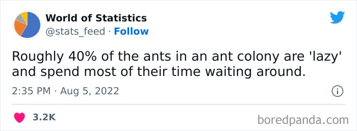 “85% Of Women Wear The Wrong Bra Size”: 50 Wild Statistics That Are As Random As They Are Interesting, As Shared On This Twitter Page “85% Of Women Wear The Wrong Bra Size”: 50 Wild Statistics That Are As Random As They Are Interesting, As Shared On This Twitter Page