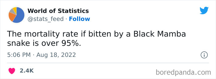 &#8220;85% Of Women Wear The Wrong Bra Size&#8221;: 50 Wild Statistics That Are As Random As They Are Interesting, As Shared On This Twitter Page