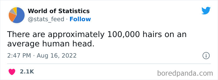 &#8220;85% Of Women Wear The Wrong Bra Size&#8221;: 50 Wild Statistics That Are As Random As They Are Interesting, As Shared On This Twitter Page