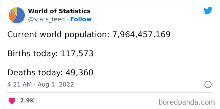 &#8220;85% Of Women Wear The Wrong Bra Size&#8221;: 50 Wild Statistics That Are As Random As They Are Interesting, As Shared On This Twitter Page