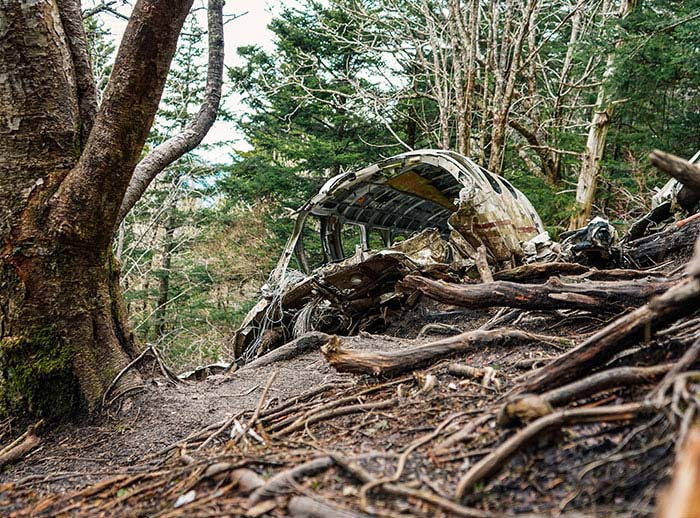 30 Brilliant Stories About The Coolest Things People Found While Using Metal Detectors 30 Brilliant Stories About The Coolest Things People Found While Using Metal Detectors