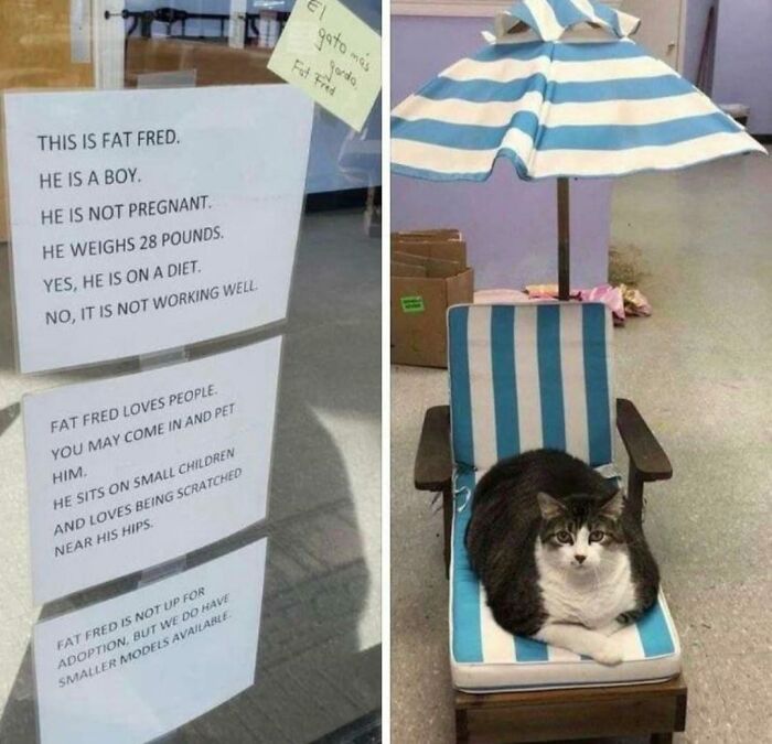 ‘Blessed Images’: 50 Times People Saw An Image So Pure, It Healed Their Soul A Bit ‘Blessed Images’: 50 Times People Saw An Image So Pure, It Healed Their Soul A Bit