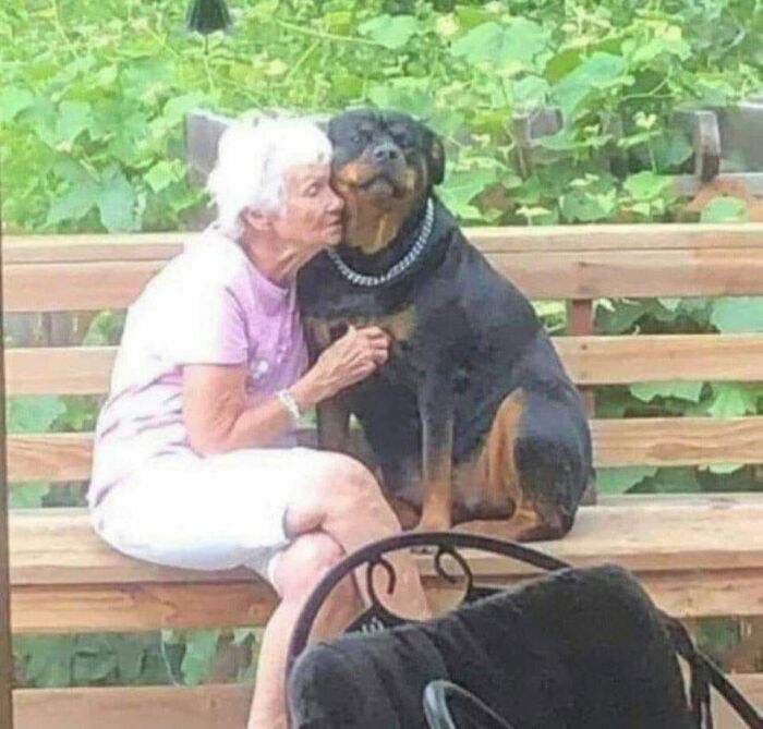 ‘Blessed Images’: 50 Times People Saw An Image So Pure, It Healed Their Soul A Bit ‘Blessed Images’: 50 Times People Saw An Image So Pure, It Healed Their Soul A Bit