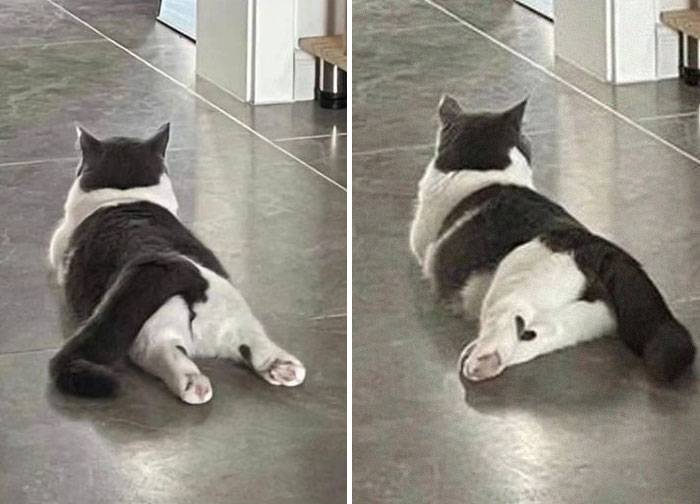 ‘Blessed Images’: 50 Times People Saw An Image So Pure, It Healed Their Soul A Bit ‘Blessed Images’: 50 Times People Saw An Image So Pure, It Healed Their Soul A Bit