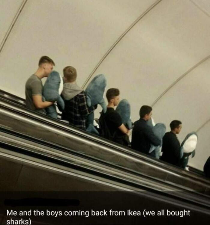 ‘Blessed Images’: 50 Times People Saw An Image So Pure, It Healed Their Soul A Bit ‘Blessed Images’: 50 Times People Saw An Image So Pure, It Healed Their Soul A Bit