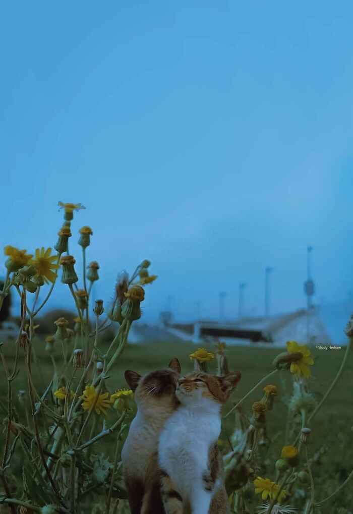 ‘Blessed Images’: 50 Times People Saw An Image So Pure, It Healed Their Soul A Bit ‘Blessed Images’: 50 Times People Saw An Image So Pure, It Healed Their Soul A Bit