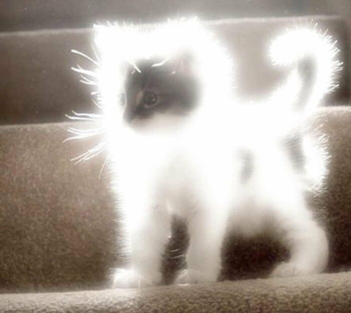 ‘Blessed Images’: 50 Times People Saw An Image So Pure, It Healed Their Soul A Bit ‘Blessed Images’: 50 Times People Saw An Image So Pure, It Healed Their Soul A Bit