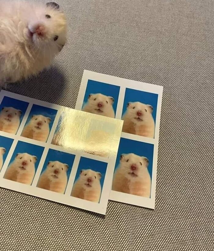 ‘Blessed Images’: 50 Times People Saw An Image So Pure, It Healed Their Soul A Bit ‘Blessed Images’: 50 Times People Saw An Image So Pure, It Healed Their Soul A Bit