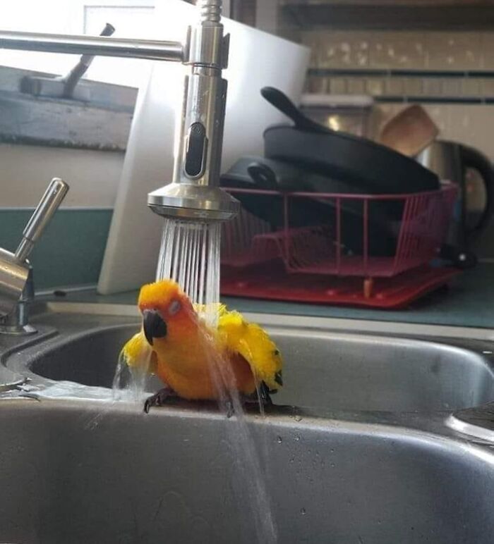 ‘Blessed Images’: 50 Times People Saw An Image So Pure, It Healed Their Soul A Bit ‘Blessed Images’: 50 Times People Saw An Image So Pure, It Healed Their Soul A Bit