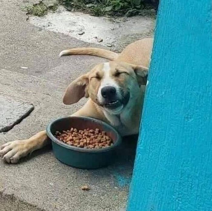 ‘Blessed Images’: 50 Times People Saw An Image So Pure, It Healed Their Soul A Bit ‘Blessed Images’: 50 Times People Saw An Image So Pure, It Healed Their Soul A Bit