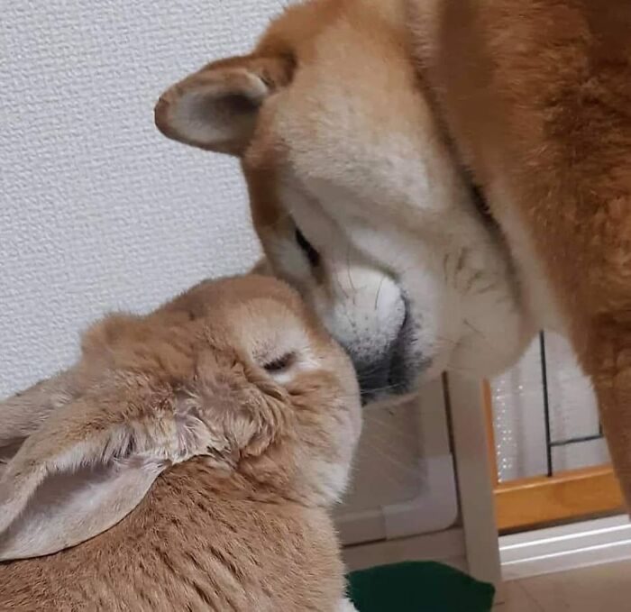 ‘Blessed Images’: 50 Times People Saw An Image So Pure, It Healed Their Soul A Bit ‘Blessed Images’: 50 Times People Saw An Image So Pure, It Healed Their Soul A Bit