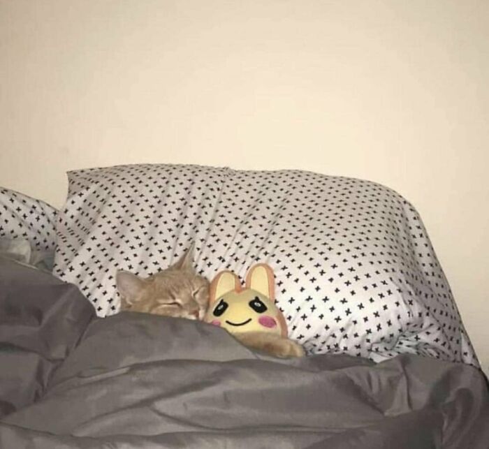 ‘Blessed Images’: 50 Times People Saw An Image So Pure, It Healed Their Soul A Bit ‘Blessed Images’: 50 Times People Saw An Image So Pure, It Healed Their Soul A Bit