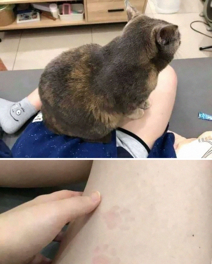 ‘Blessed Images’: 50 Times People Saw An Image So Pure, It Healed Their Soul A Bit ‘Blessed Images’: 50 Times People Saw An Image So Pure, It Healed Their Soul A Bit