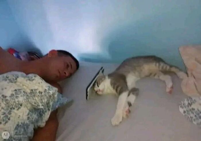 ‘Blessed Images’: 50 Times People Saw An Image So Pure, It Healed Their Soul A Bit ‘Blessed Images’: 50 Times People Saw An Image So Pure, It Healed Their Soul A Bit