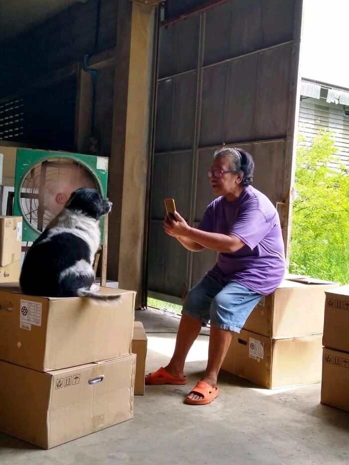 ‘Blessed Images’: 50 Times People Saw An Image So Pure, It Healed Their Soul A Bit ‘Blessed Images’: 50 Times People Saw An Image So Pure, It Healed Their Soul A Bit