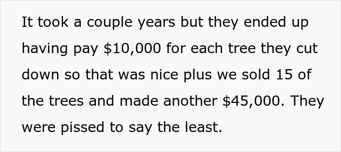 Woman Gets “Nuclear Revenge” On Neighbor Who Flooded Their Lot And Cut Down 23 Of Their Trees