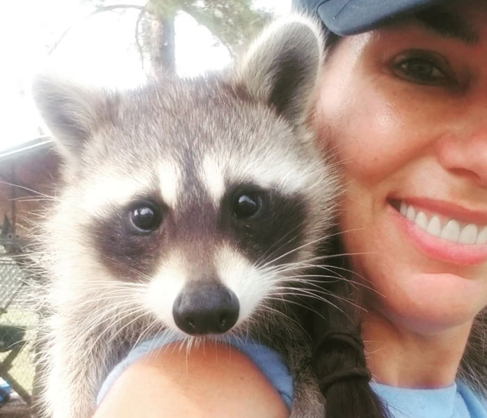 Animals At Wildlife Rescue Rejoice As Dozens Of Squashed Watermelons Are Donated After Accident