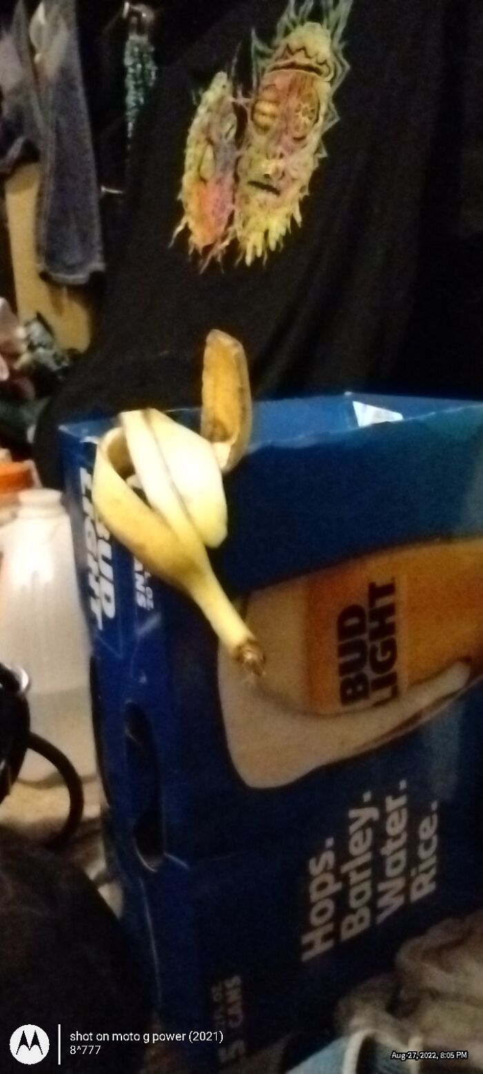 Hey Pandas, What Are Some Examples Of The Funniest Explanations Given To An Authority Figure? (Closed) Hey Pandas, What Are Some Examples Of The Funniest Explanations Given To An Authority Figure? (Closed)