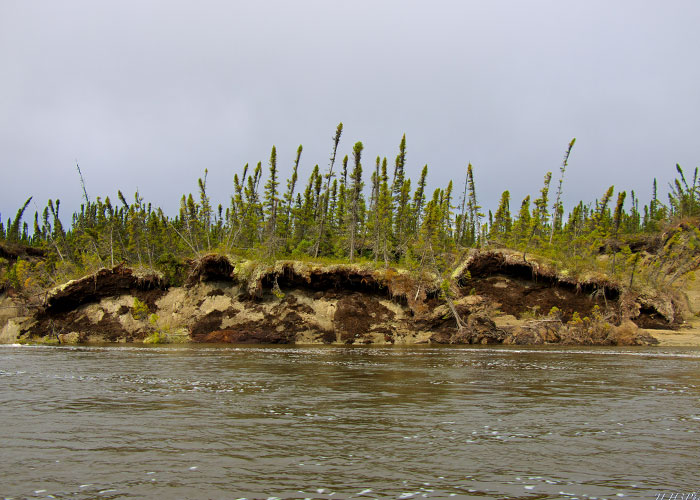 30 Times People Made The Worst Business Decisions Ever, As Shared In This Online Thread 30 Times People Made The Worst Business Decisions Ever, As Shared In This Online Thread