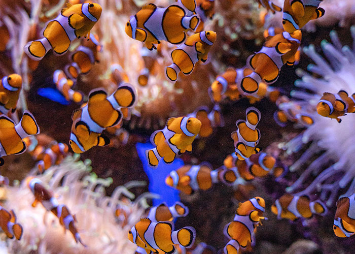 30 Times People Made The Worst Business Decisions Ever, As Shared In This Online Thread 30 Times People Made The Worst Business Decisions Ever, As Shared In This Online Thread