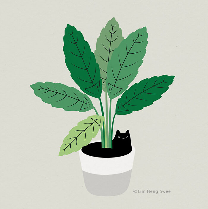 My 26 Minimal Illustrations For Plant And Cat Lovers My 26 Minimal Illustrations For Plant And Cat Lovers