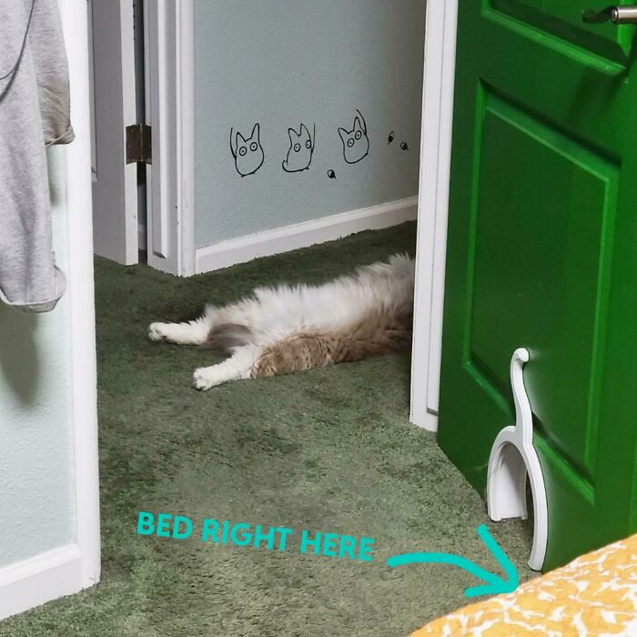 “What’s Wrong With Your Cat?”: 50 “Faulty” Cats That Can’t Stop Glitching (New Pics)