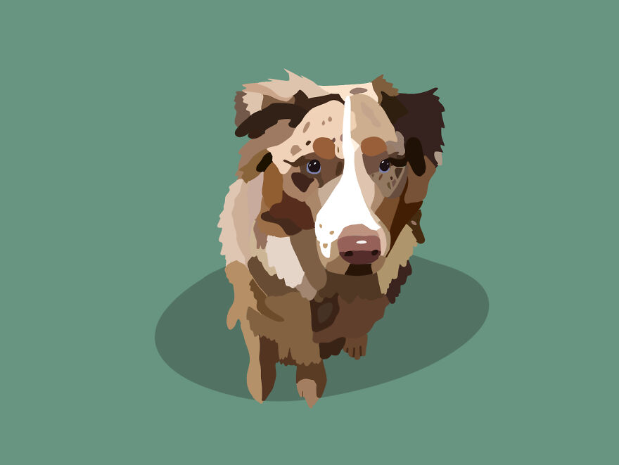 I Take Animal Photos And Make Them Into Cartoons, Here Are 7 Of The Best