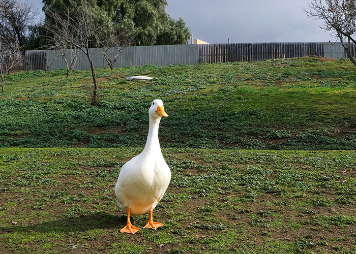 50 Of The Most Disappointing And Outright Cruel Christmas Presents Ever Received, As Shared By People Online 50 Of The Most Disappointing And Outright Cruel Christmas Presents Ever Received, As Shared By People Online