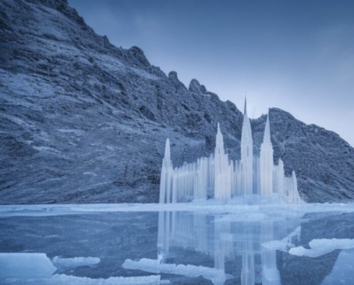 Hey Pandas, Post Some AI Art You Made (Closed) Hey Pandas, Post Some AI Art You Made (Closed)