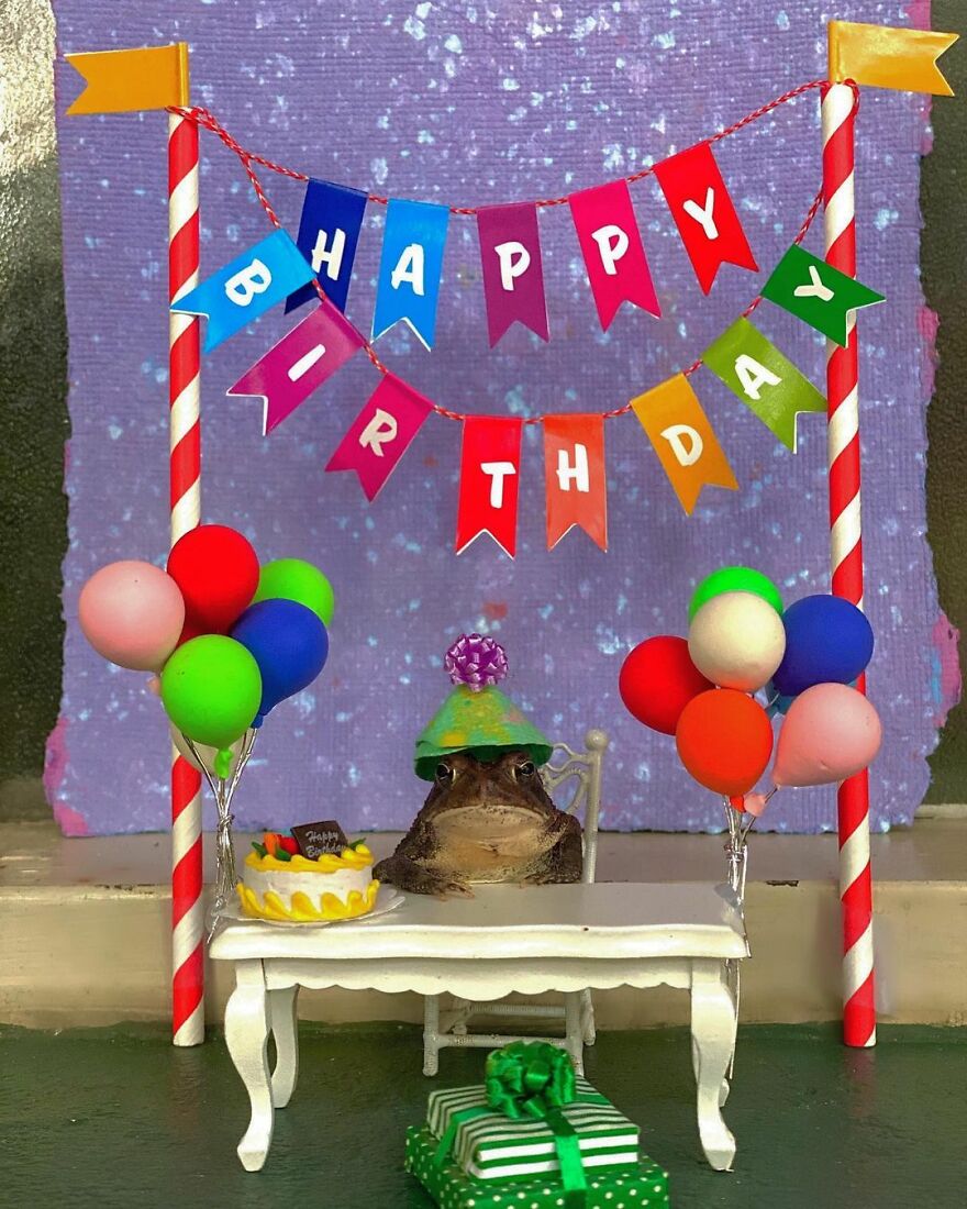 69 Pictures Of Toby The Toad Living An Old Man’s Life In This Decorated Dollhouse 69 Pictures Of Toby The Toad Living An Old Man’s Life In This Decorated Dollhouse