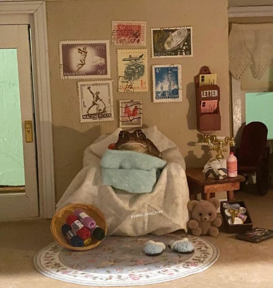 69 Pictures Of Toby The Toad Living An Old Man’s Life In This Decorated Dollhouse 69 Pictures Of Toby The Toad Living An Old Man’s Life In This Decorated Dollhouse