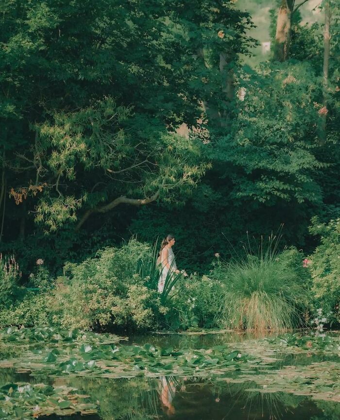 50 Times People Snapped A Picture And It Turned Out To Be An ‘Accidental Renaissance’ (New Pics) 50 Times People Snapped A Picture And It Turned Out To Be An ‘Accidental Renaissance’ (New Pics)