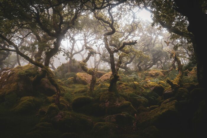 50 Times People Snapped A Picture And It Turned Out To Be An ‘Accidental Renaissance’ (New Pics) 50 Times People Snapped A Picture And It Turned Out To Be An ‘Accidental Renaissance’ (New Pics)