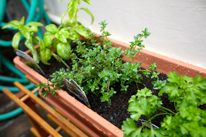 30 People Online Unveil &#8216;Tricks&#8217; That Make Matters Easier In Their Kitchen