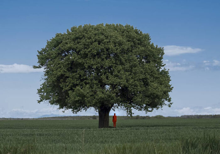 30 Surreal Self-Portraits Wearing Full-Body Suits That Suggest Strangeness, Otherworldliness, And Isolation 30 Surreal Self-Portraits Wearing Full-Body Suits That Suggest Strangeness, Otherworldliness, And Isolation