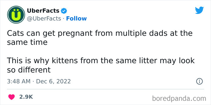 172 Cool Facts From Uber Facts Twitter Account 172 Cool Facts From Uber Facts Twitter Account