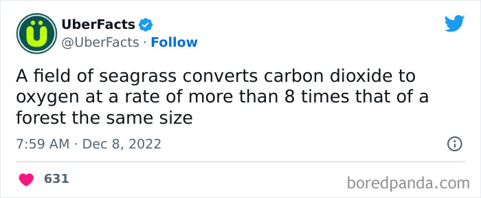 172 Cool Facts From Uber Facts Twitter Account 172 Cool Facts From Uber Facts Twitter Account