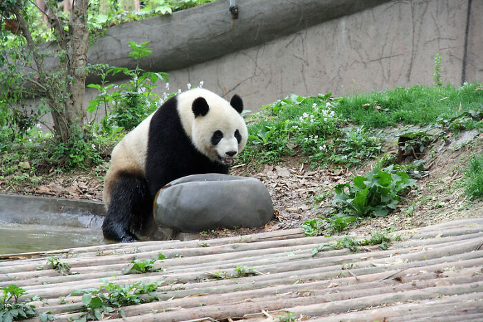 40 Times Children Accidentally Proved Themselves To Be True Comedians, As Shared In This Viral Thread 40 Times Children Accidentally Proved Themselves To Be True Comedians, As Shared In This Viral Thread