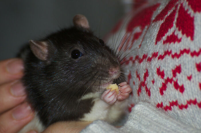 40 Times Children Accidentally Proved Themselves To Be True Comedians, As Shared In This Viral Thread 40 Times Children Accidentally Proved Themselves To Be True Comedians, As Shared In This Viral Thread