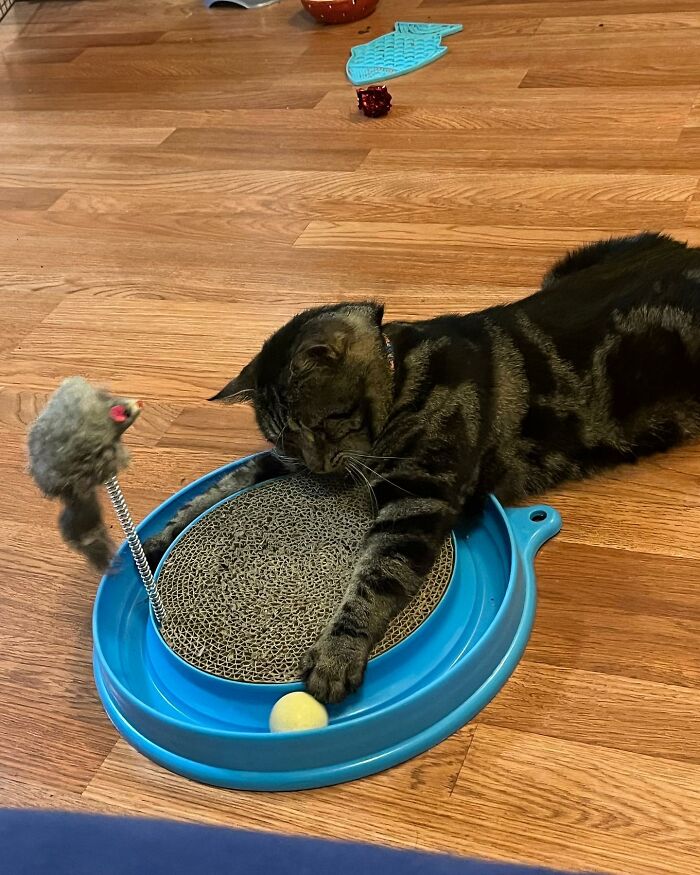 After Going Viral On Twitter, Fishtopher Has Recently Been Adopted And Is Off To Live A Happy Life After Going Viral On Twitter, Fishtopher Has Recently Been Adopted And Is Off To Live A Happy Life