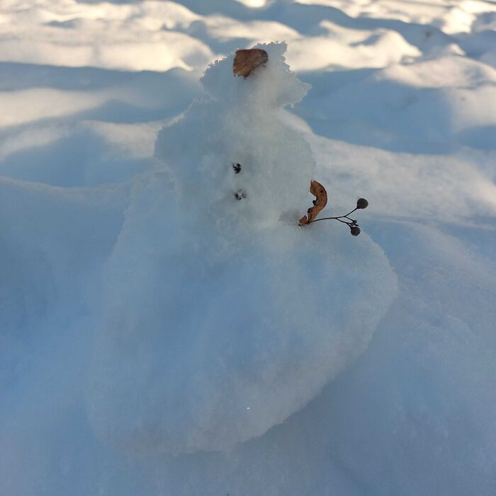 Hey Pandas, Post A Picture Of Your Snowman (Closed)