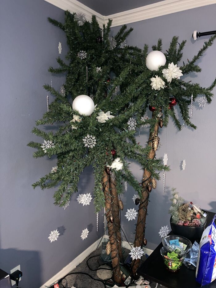 Hey Pandas, Post A Photo Of Your Christmas Tree (Closed)