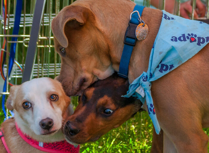 Internet Users Are Sharing ‘Unknown’ Facts That Could Save Your Life, And Here Are 40 Of The Most Useful Ones Internet Users Are Sharing ‘Unknown’ Facts That Could Save Your Life, And Here Are 40 Of The Most Useful Ones