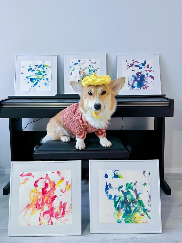 Meet Kobis – A Corgi That Knows Over 60 Tricks Including Riding A Skateboard, Painting, Playing Basketball And More Meet Kobis – A Corgi That Knows Over 60 Tricks Including Riding A Skateboard, Painting, Playing Basketball And More